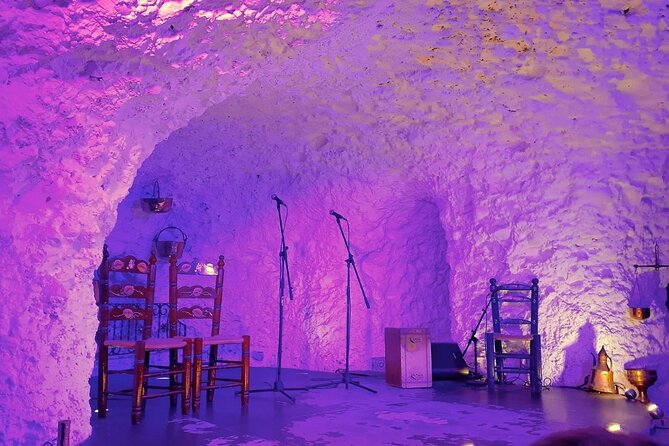 Flamenco Show in a Cave Restaurant in Granada - Who should book this flamenco show?