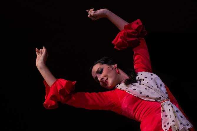 Flamenco Show in Cueva Zincalé - The emotional side of traditional flamenco