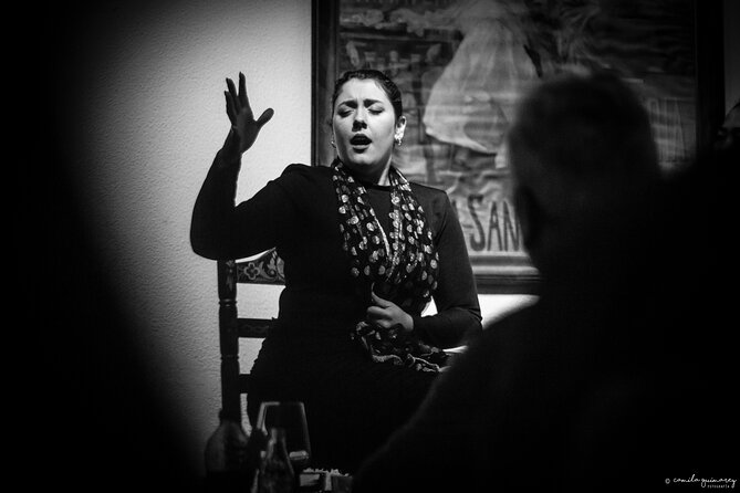 Flamenco Show in Seville at Bar and Tapas - Who will enjoy this experience most