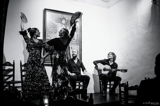 Flamenco Show in Seville - La milonga tablao - Who will enjoy this flamenco show most
