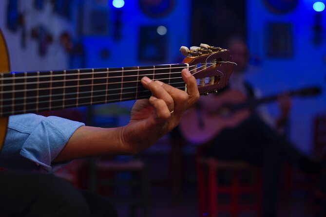 Flamenco Show in the Caves of Sacromonte - Who will enjoy this flamenco show most?