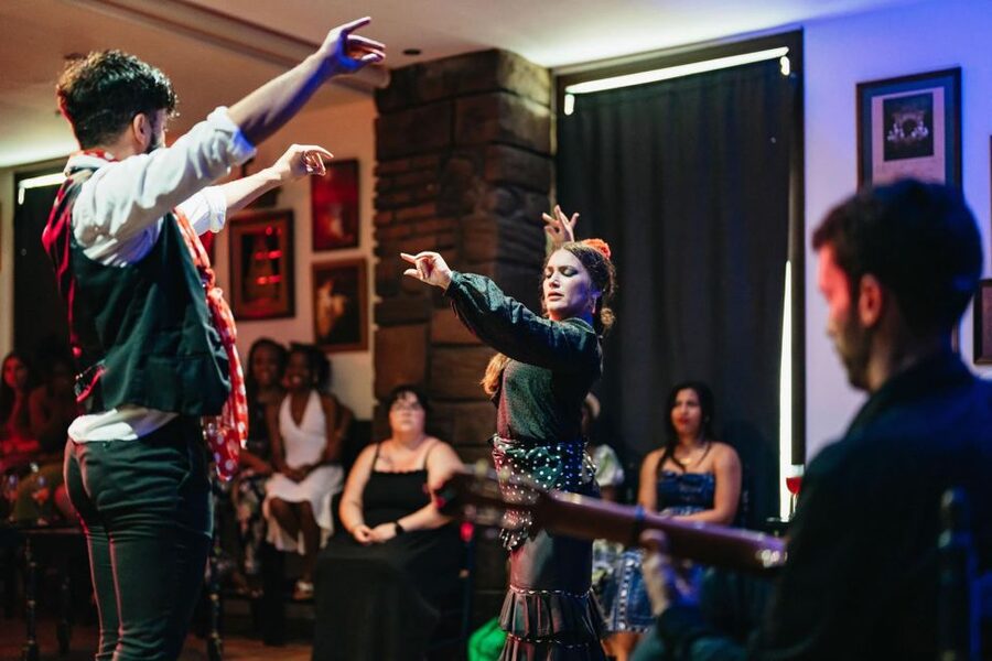 Flamenco Show & Sangria Tasting - Key points to know