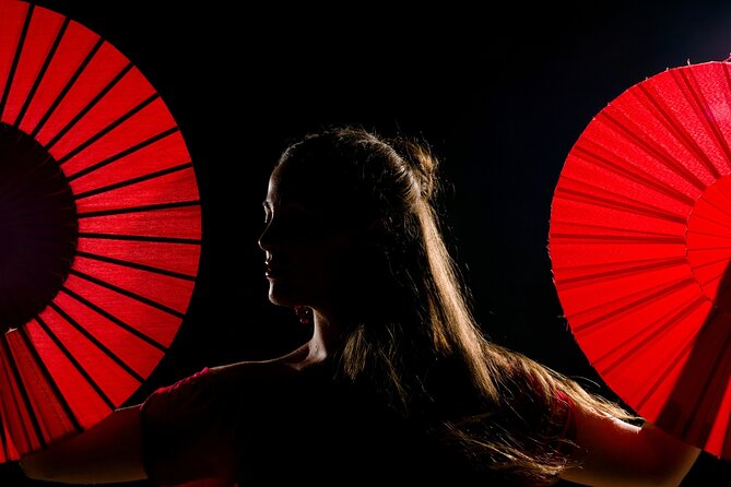 Flamenco show & tasting Tapas with panoramic views in Madrid - Tapas, wine, and views over La Latina