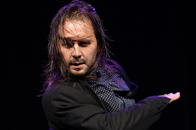Flamenco Show Ticket at Theatre Barcelona City Hall - What the show does best