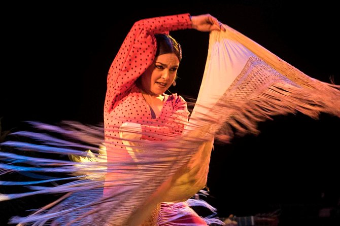 Flamenco Show Ticket at Theatre Barcelona City Hall - The drawbacks you should weigh