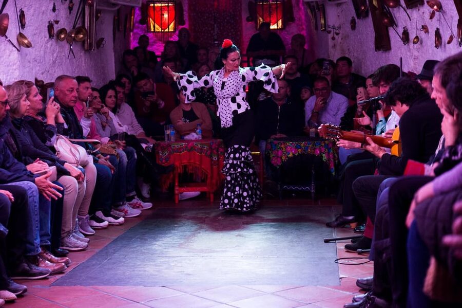 Flamenco Show: Zambra in Cuevas del Sacromonte - Key points to know before booking