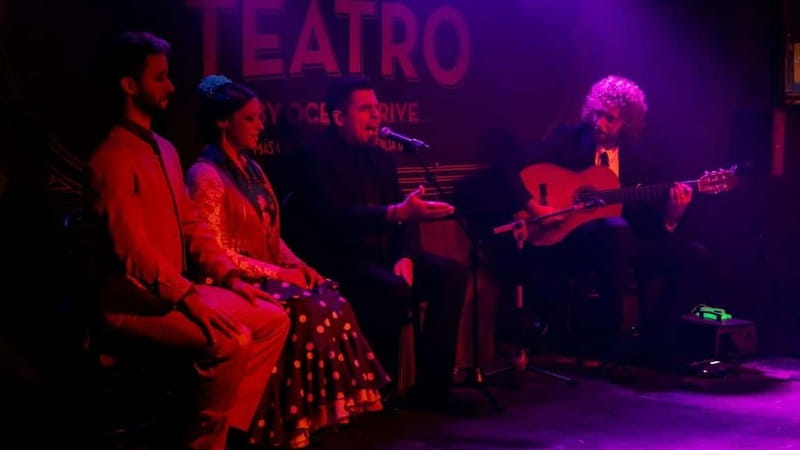 Fuengirola: Flamenco Show - Why the intimate room changes the show
