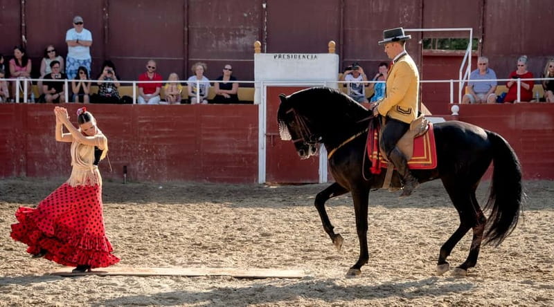 Fuengirola: Spanish Horse Show with Optional Dinner/Flamenco - Key points at a glance