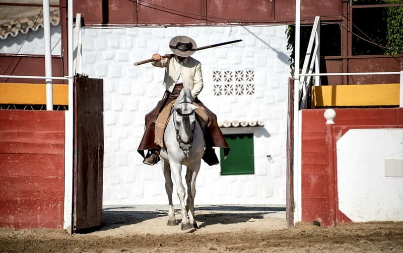 Fuengirola: Spanish Horse Show with Optional Dinner/Flamenco - The 18:00 horse show at Finca El Cartujano