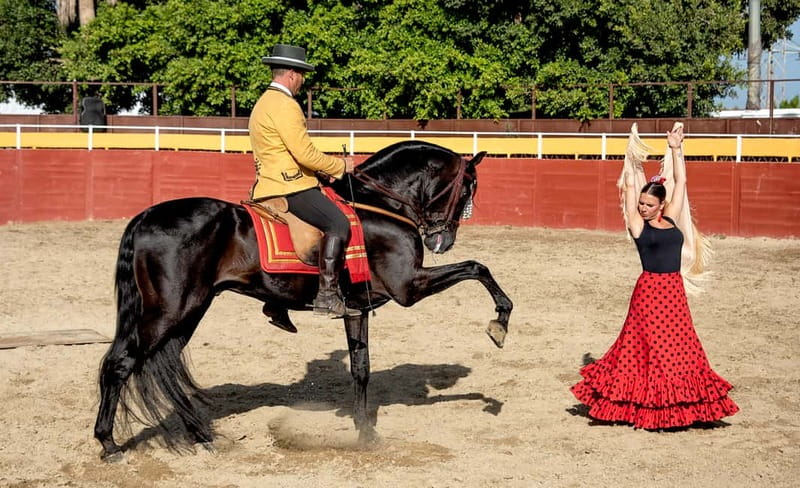 Fuengirola: Spanish Horse Show with Optional Dinner/Flamenco - The 19:45 dinner in the trophy room