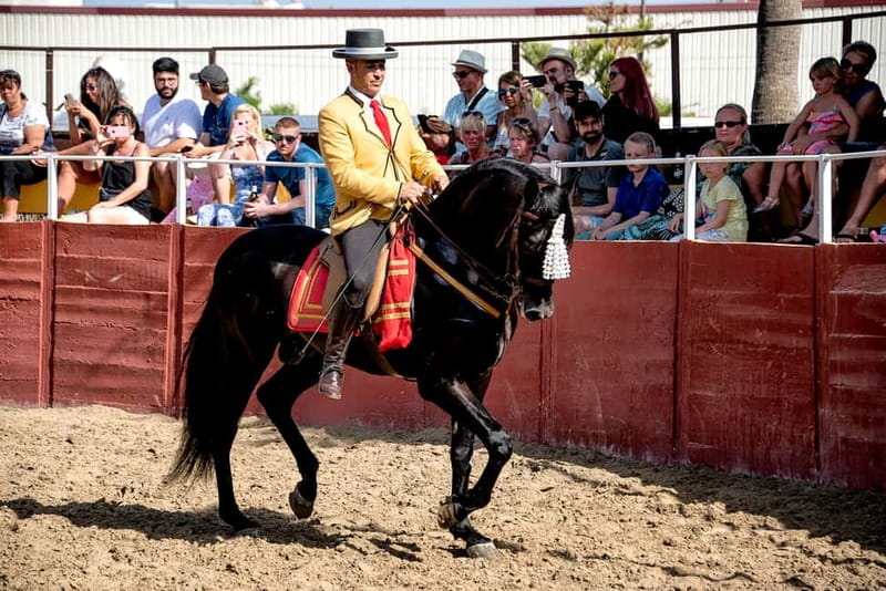 Fuengirola: Spanish Horse Show with Optional Dinner/Flamenco - The 21:30 flamenco performance