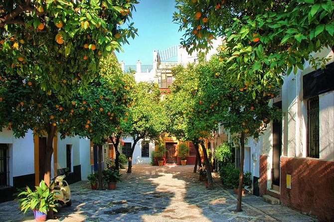 Full Day Seville Tour with tickets (optional Tapas & Flamenco) - Flamenco at the Museo del Baile Flamenco