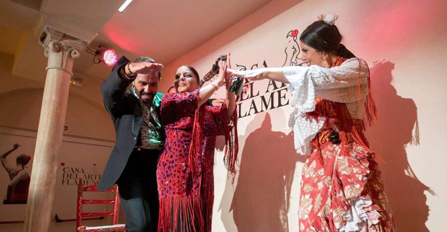 Granada: 1-Hour Traditional Flamenco Show - A Convenient Stop Near Plaza Nueva
