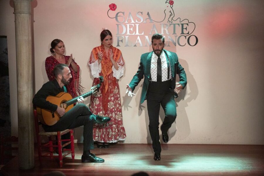 Granada: 1-Hour Traditional Flamenco Show - Is the $23 Ticket Good Value?