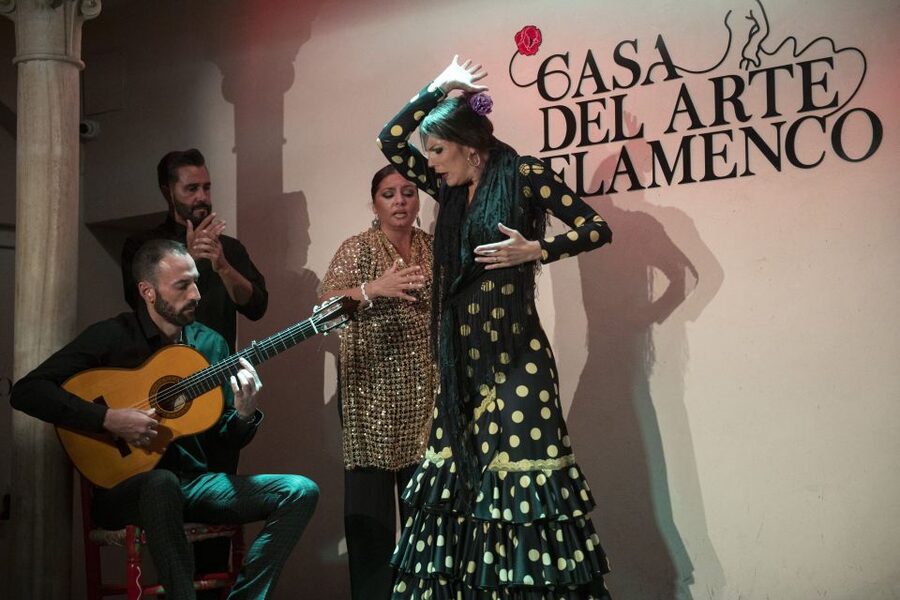 Granada: 1-Hour Traditional Flamenco Show - How to Get More From Your First Flamenco Show