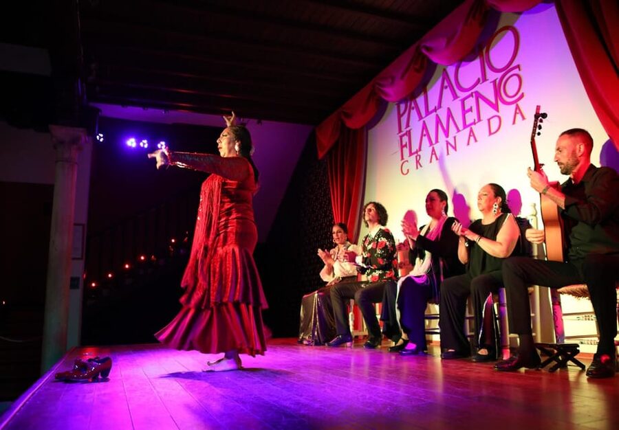 Granada: 1-Hour Traditional Flamenco Show at Palacio - Entering a Granada palace near Plaza Nueva