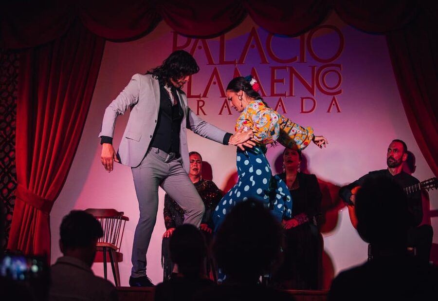 Granada: 1-Hour Traditional Flamenco Show at Palacio - Who should book this show?