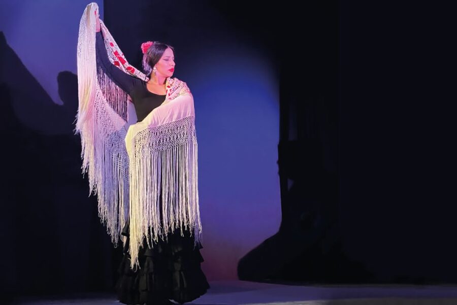 Granada: Albaicín & Sacromonte Walking Tour & Flamenco Show - Sacromonte’s cave houses and flamenco roots