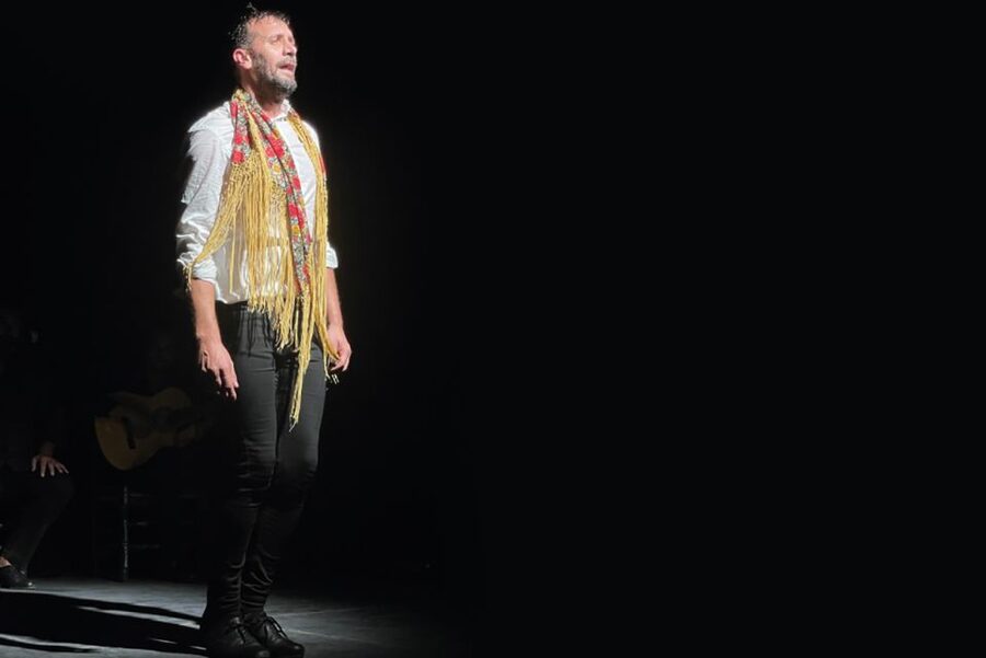 Granada: Albaicín & Sacromonte Walking Tour & Flamenco Show - Is $53 a fair price?