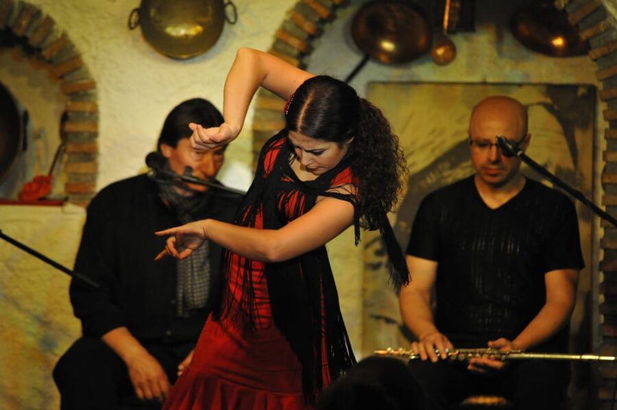 Granada: Alhambra Guided Tour and Flamenco Show - The Alhambra comes first