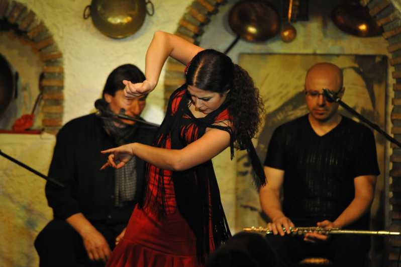 Granada: Alhambra Guided Tour and Flamenco Show - Booking advice for a smoother day