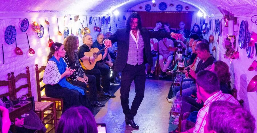 Granada: Authentic and intimate Flamenco Show with Snacks - One drink, but not an open bar
