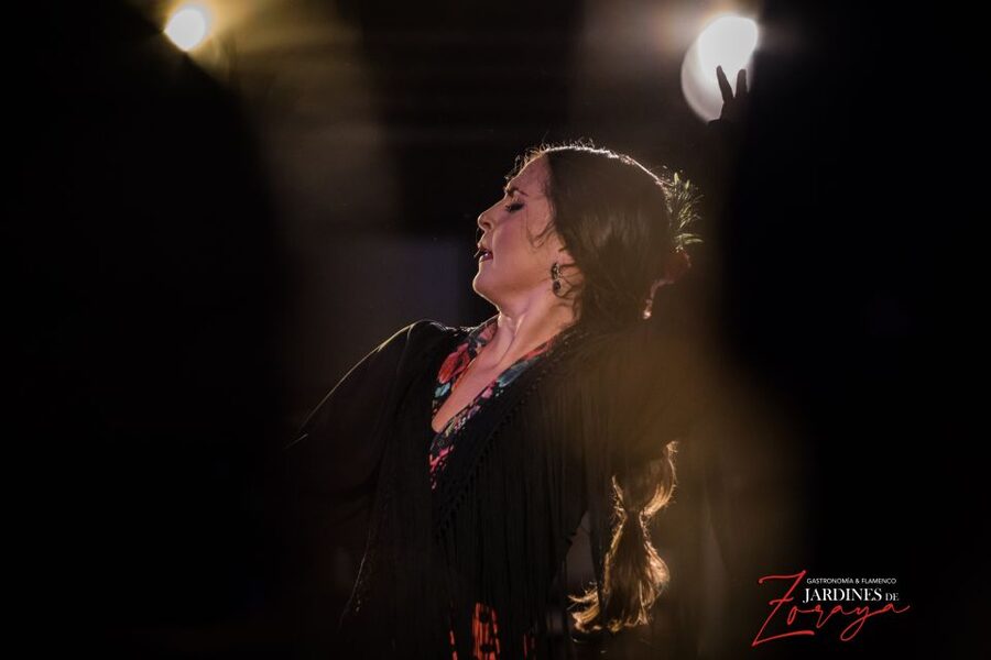 Granada: Flamenco Show in Albayzín - Jardines de Zoraya - Entering the intimate tablao