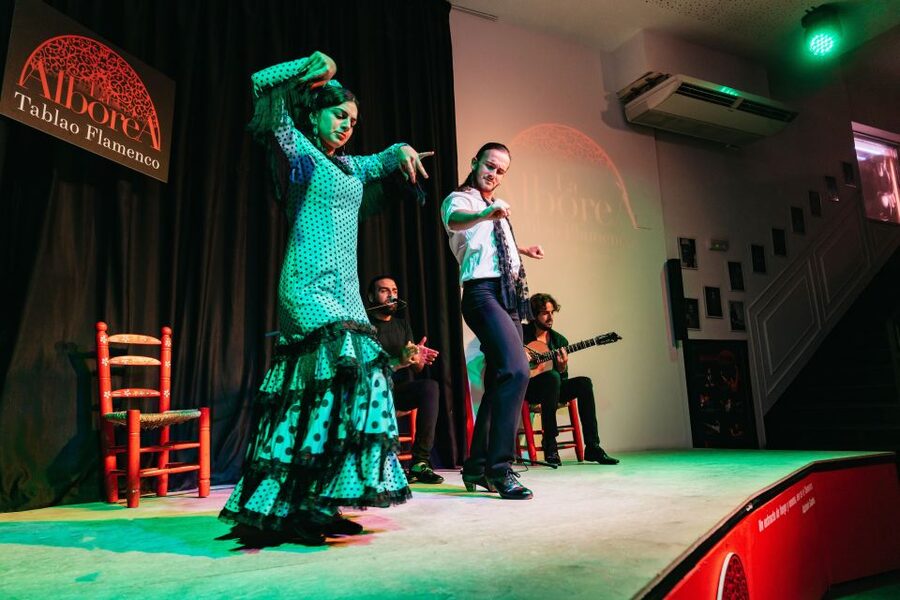 Granada: Flamenco Show in La Alboreá - Key points at a glance