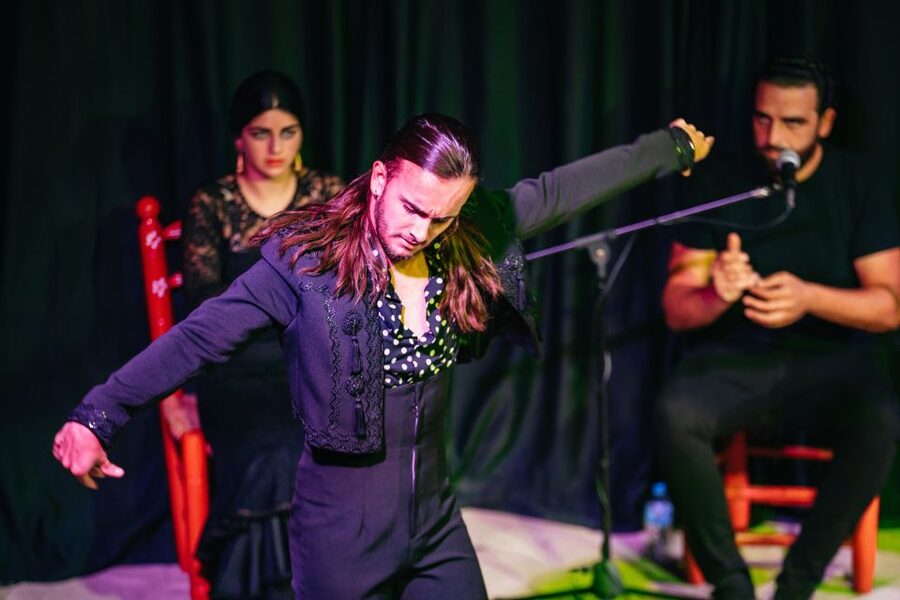 Granada: Flamenco Show in La Alboreá - What I would watch for during the performance