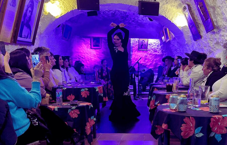 Granada: Flamenco Show in the Cave LA FARAONA - Arriving at Cam. del Sacromonte, 53