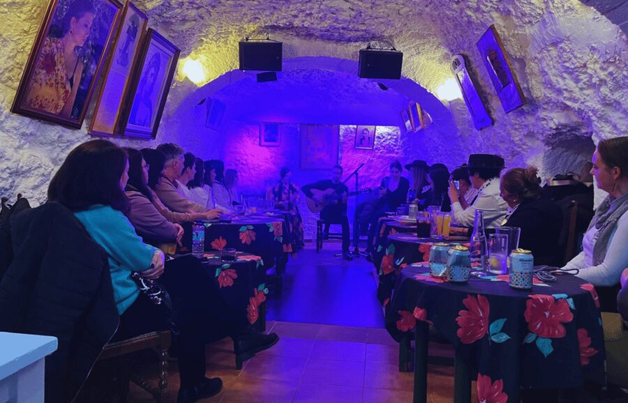 Granada: Flamenco Show in the Cave LA FARAONA - Who will enjoy Cueva La Faraona most