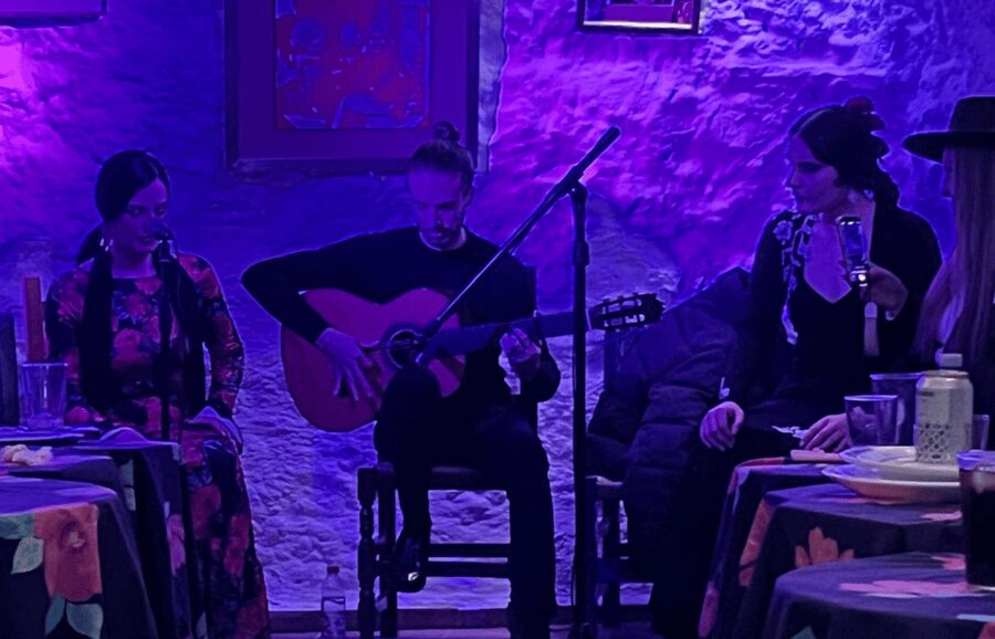 Granada: Flamenco Show in the Cave LA FARAONA - Is this flamenco show worth booking?