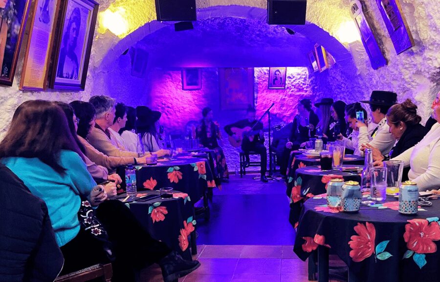Granada: Flamenco Show in the Cave LA FARAONA - Inside the one-hour flamenco program