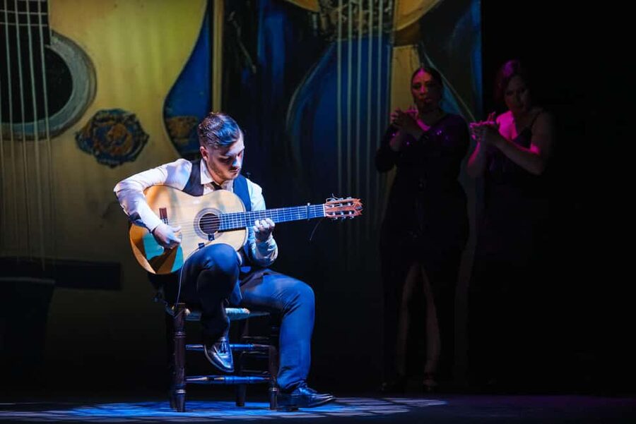 Granada: Flamenco show "Sensaciones" at the Teatro Flamenco Granada - Service, languages, and practical comfort