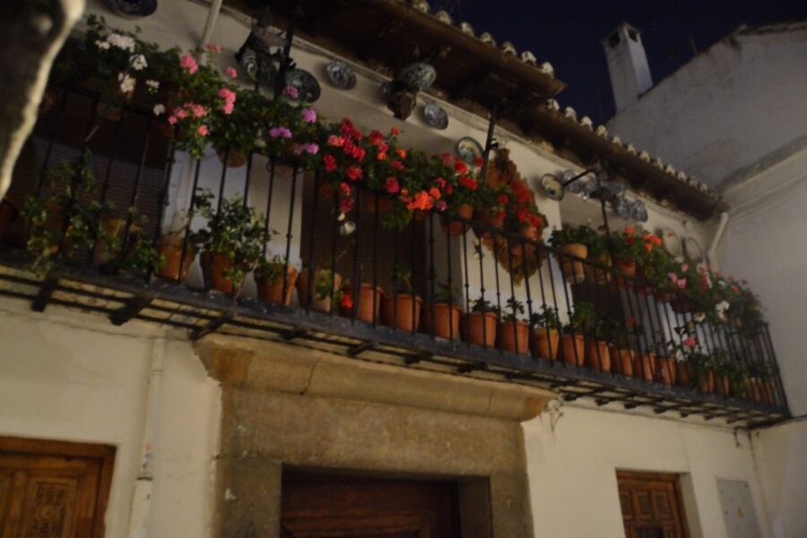 Granada: Sacromonte Caves Flamenco Show - Key points to know before you go