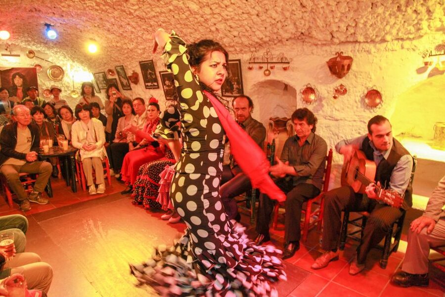 Granada: Sacromonte Caves Flamenco Show with Dinner - The Andalusian dinner: useful, but not the main event