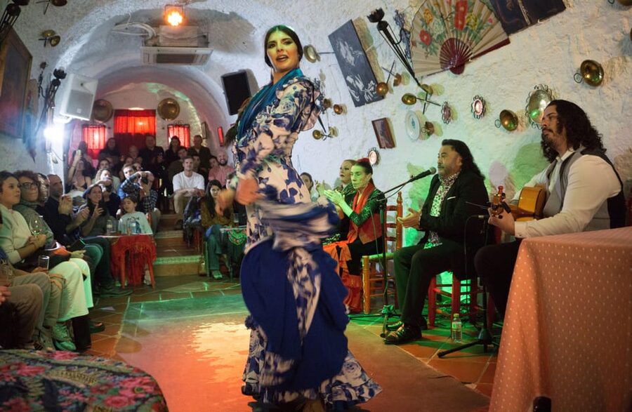 Granada: Sacromonte Caves Flamenco Show with Dinner - Who will enjoy this Granada night