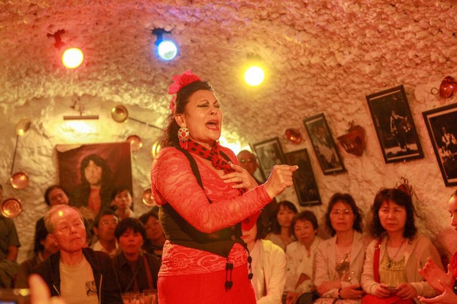 Granada: Sacromonte Caves Flamenco Show with Dinner - Practical planning before you book