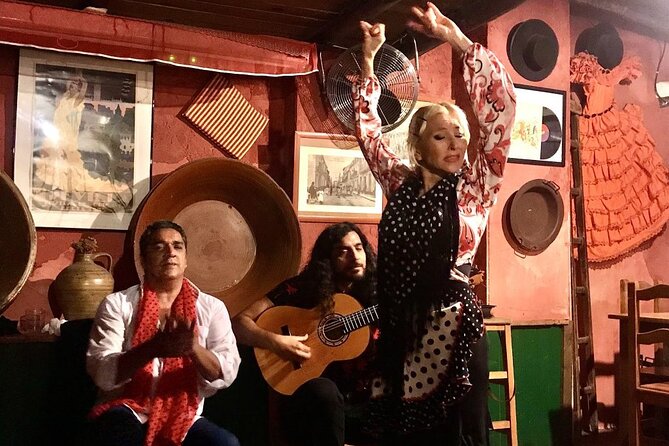 Granada Tapas Trail & Gypsy Flamenco Show - Who should book this Granada evening?