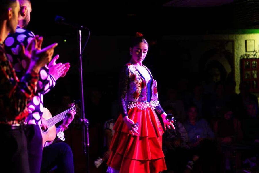 Granada: Traditional Flamenco show at Tablao Albayzín - Is $20 good value for Granada?