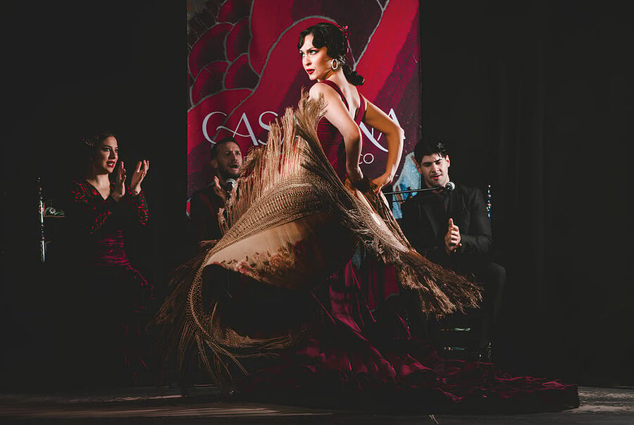 Granada: Traditional Flamenco Show at Tablao Casa Ana - Why the small room changes the experience