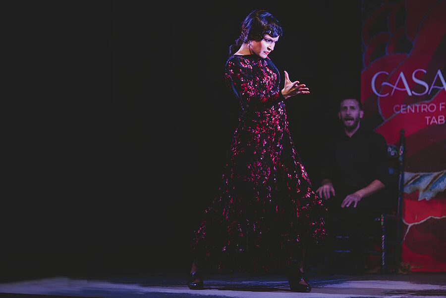 Granada: Traditional Flamenco Show at Tablao Casa Ana - The performers and the level of skill