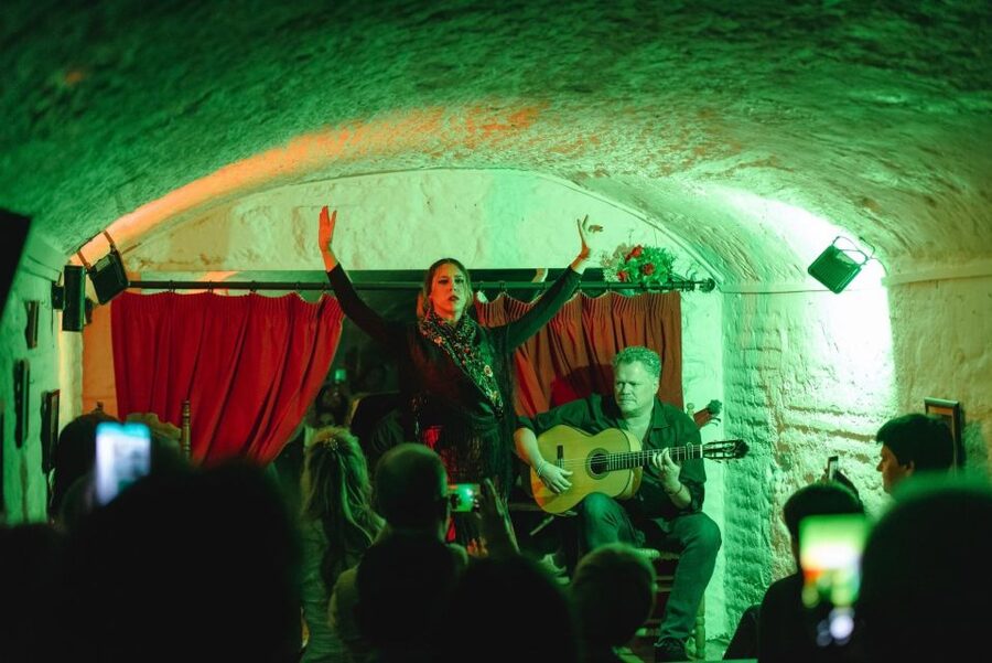 Granada: Traditional Flamenco Show in a Cave Entry Ticket - Key points at a glance