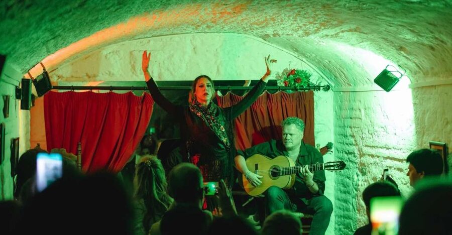 Granada: Traditional Flamenco Show in a Cave Entry Ticket - Why a cave makes this flamenco show different