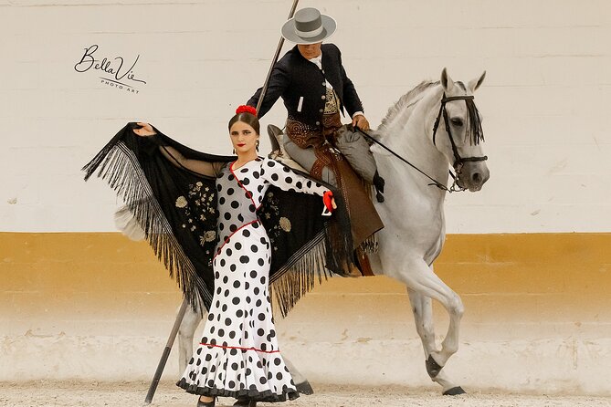Horse and Flamenco Show in Malaga - What happens at Club Hípico El Ranchito