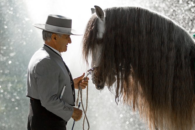 Horse and Flamenco Show in Malaga - Is the $41.03 price fair?