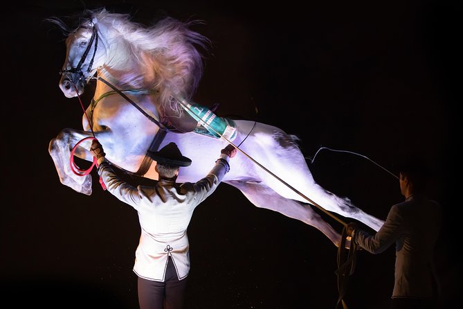 Horse and Flamenco Show in Malaga - Heat, seating, and practical comfort