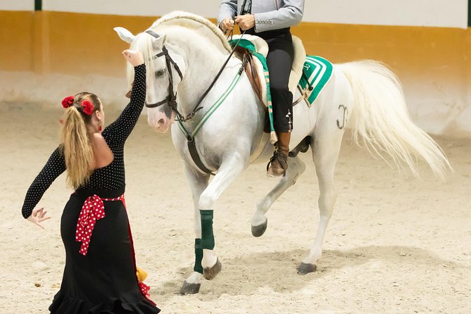 Horse and Flamenco Show in Malaga - Booking timing and cancellation