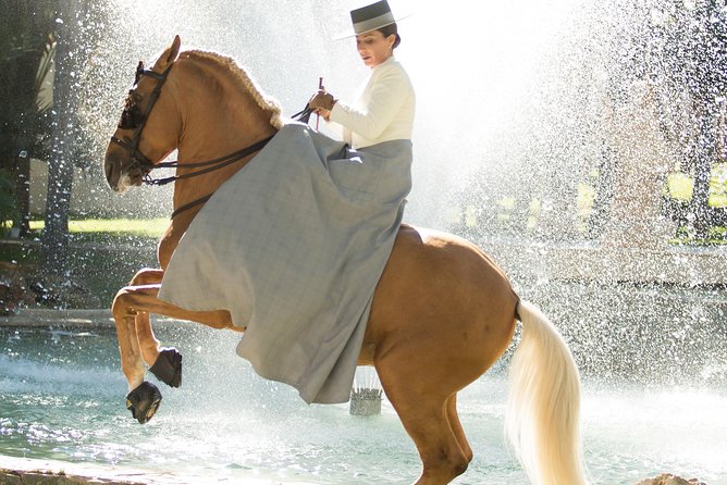 Horse and Flamenco Show in Malaga - Should you book Ritmo a Caballo?