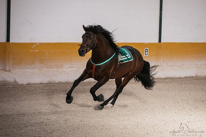 Horse and Flamenco Show in Malaga with Dinner - Arriving at Club Hípico El Ranchito by 5 pm